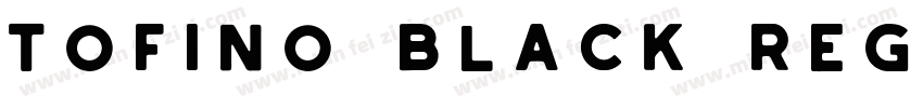 Tofino Black Regular字体转换